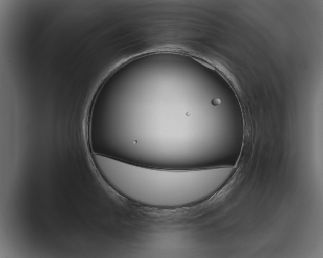 X0000089901054200706281131
