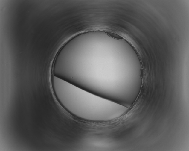 X0000089901055200706281131