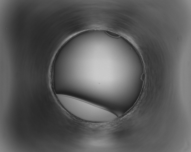 X0000089901056200706281131