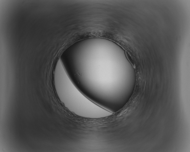 X0000089901057200706281131