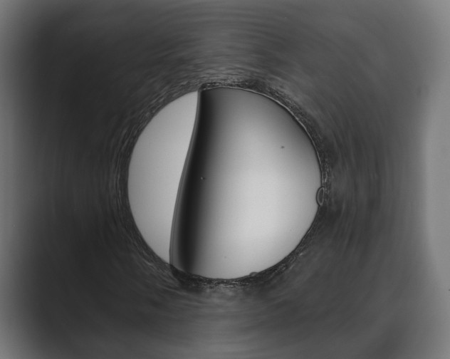 X0000089901058200706281131
