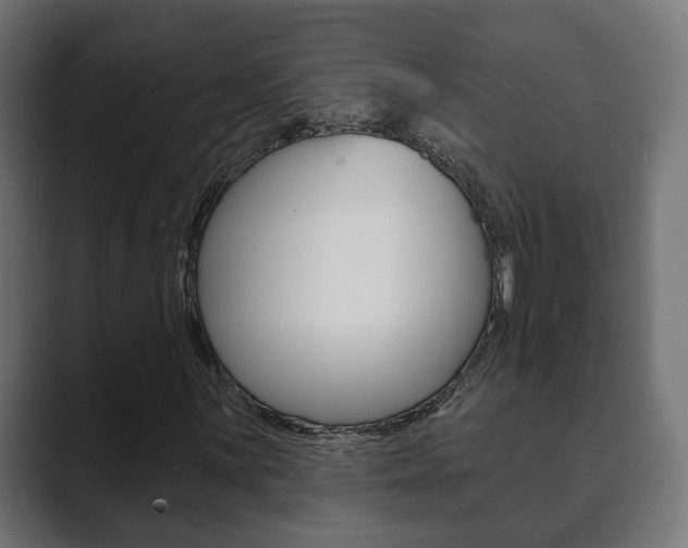 X0000089901059200706281131