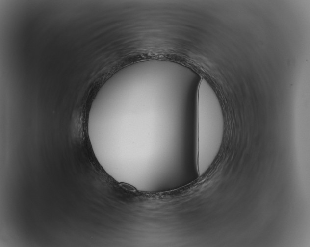 X0000089901060200706281131