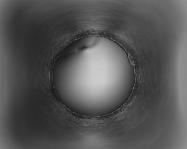 X0000089901061200706281131