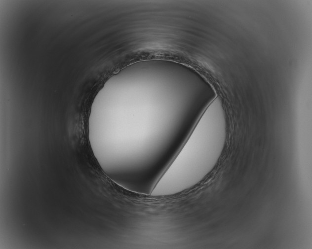 X0000089901062200706281131