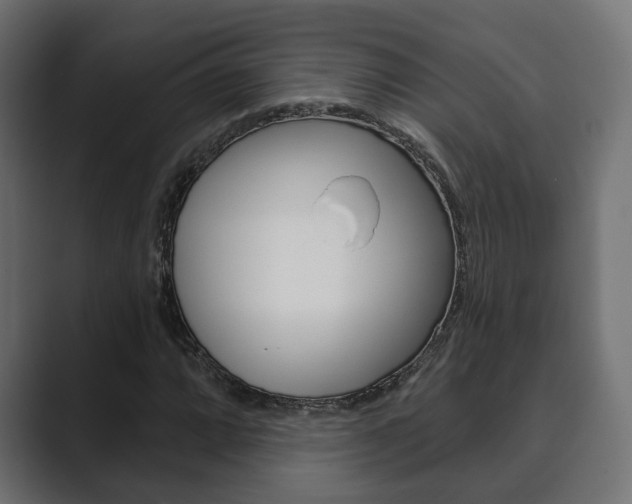 X0000089901064200706281131