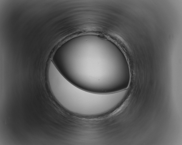 X0000089901065200706281131