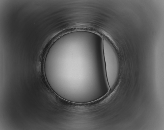 X0000089901066200706281131
