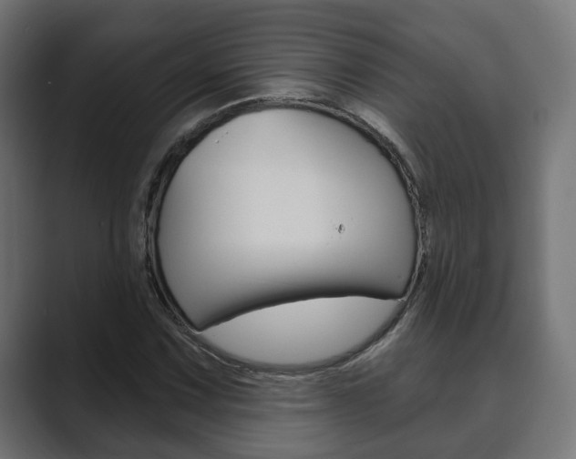 X0000089901067200706281131