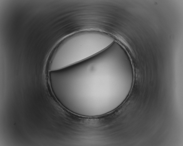 X0000089901068200706281131
