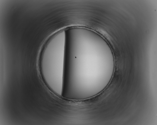 X0000089901072200706281131