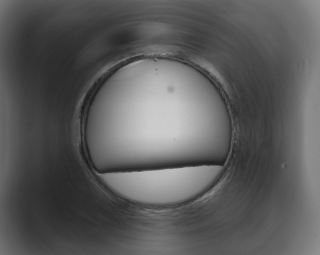 X0000089901075200706281131