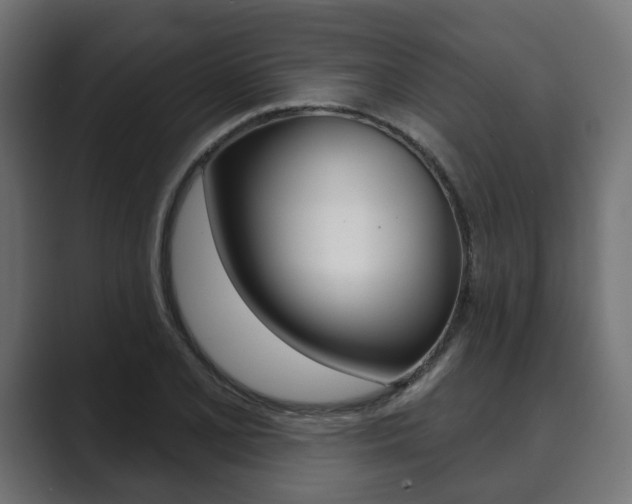X0000089901077200706281131
