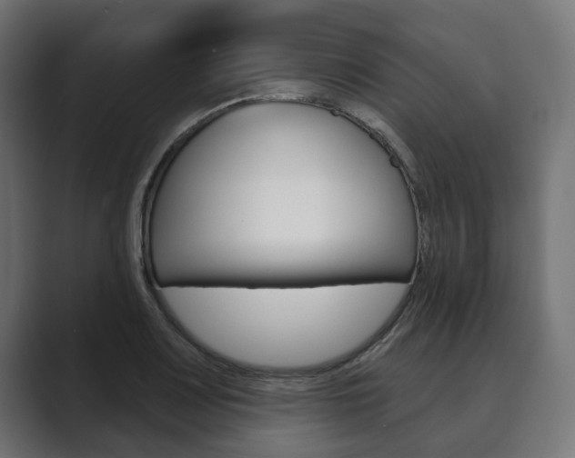 X0000089901083200706281131