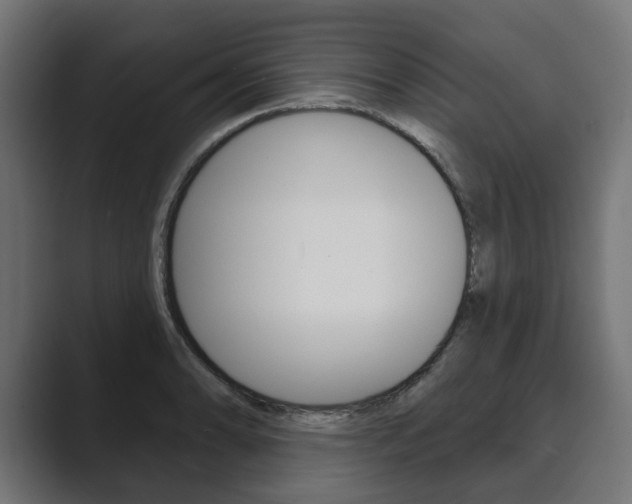 X0000089901086200706281130