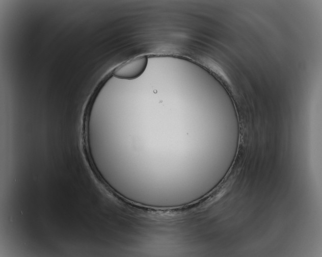 X0000089901087200706281130