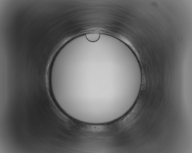 X0000089901090200706281130