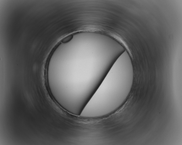 X0000089901091200706281130