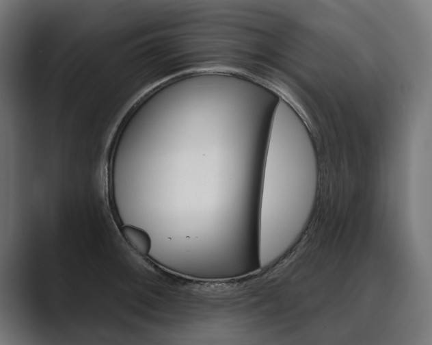 X0000089901092200706281130