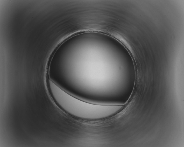 X0000089901093200706281130