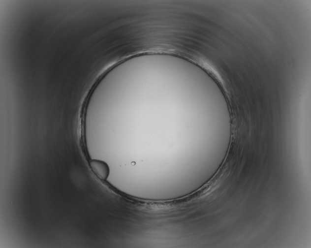 X0000089901095200706281130