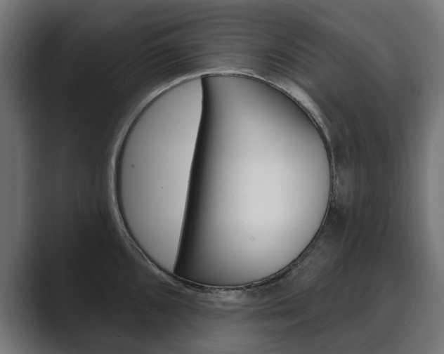 X0000089901096200706281130