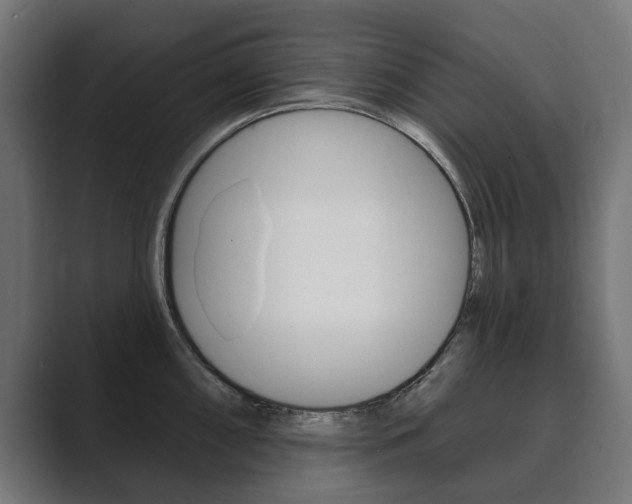 X0000089901098200706281130