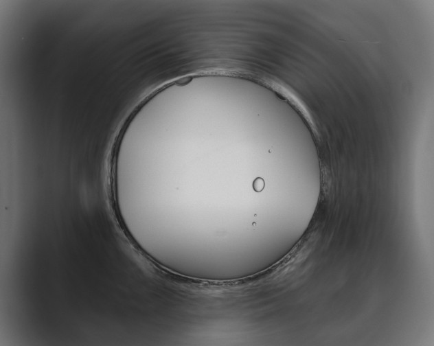 X0000089901099200706281130