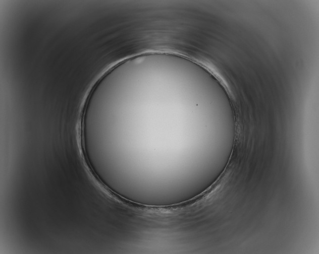 X0000089901100200706281130