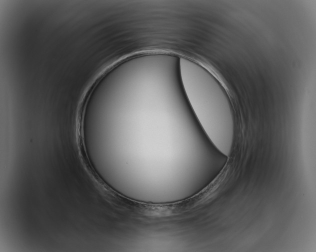 X0000089901101200706281130