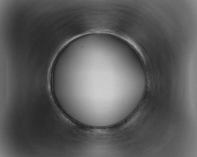 X0000089901102200706281130