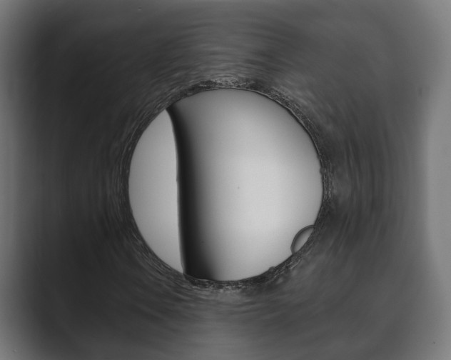X0000089901106200706281130