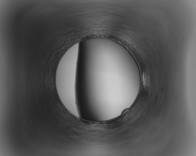 X0000089901107200706281130