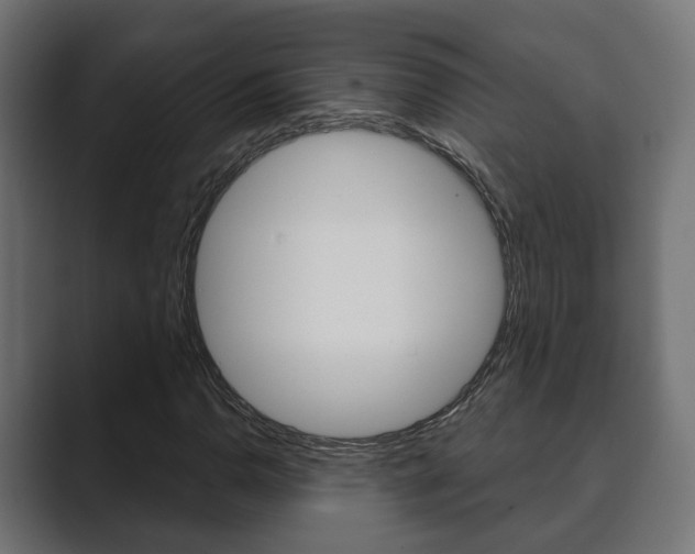 X0000089901110200706281130