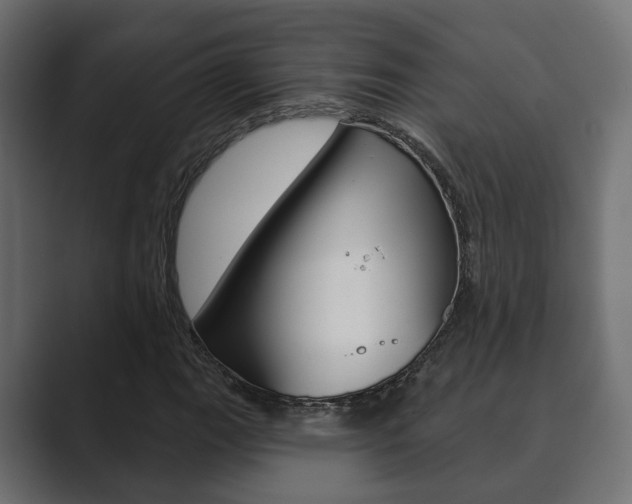 X0000089901111200706281130