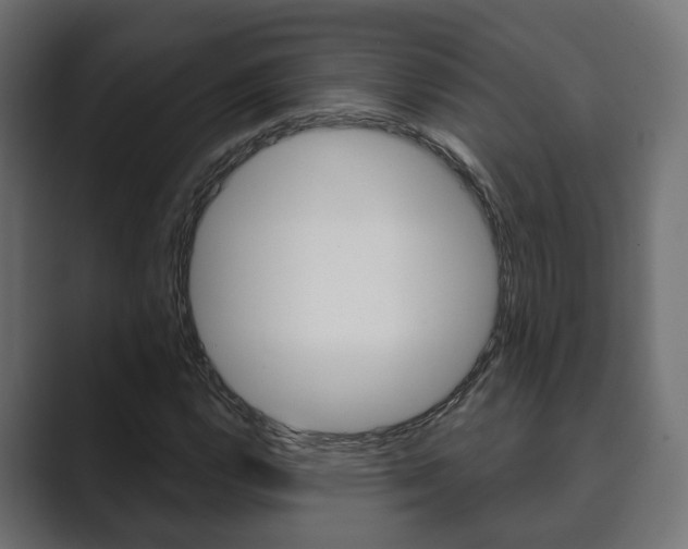 X0000089901112200706281130