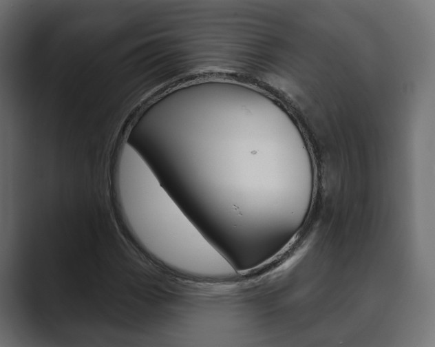 X0000089901113200706281130