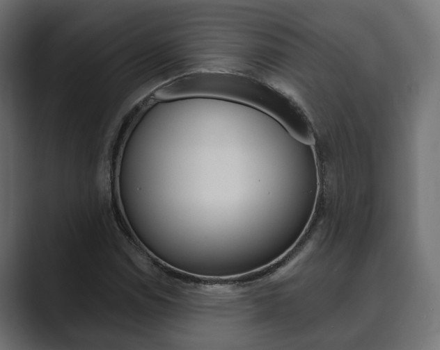 X0000089901114200706281130