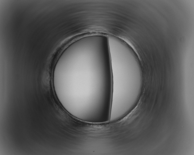 X0000089901115200706281130