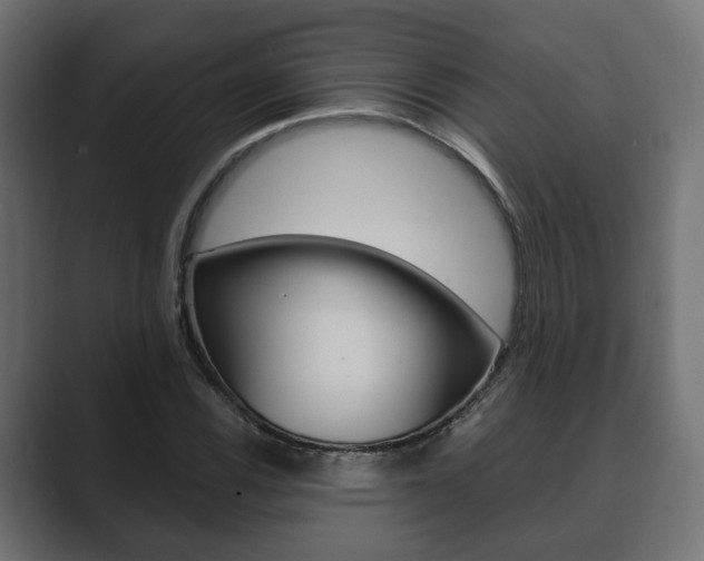 X0000089901116200706281130