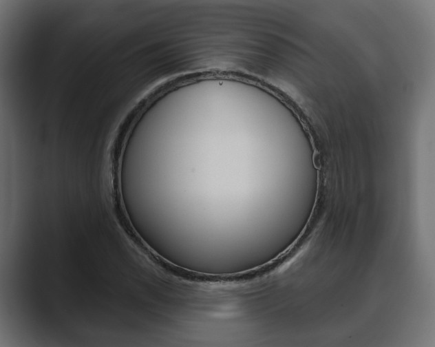 X0000089901118200706281130