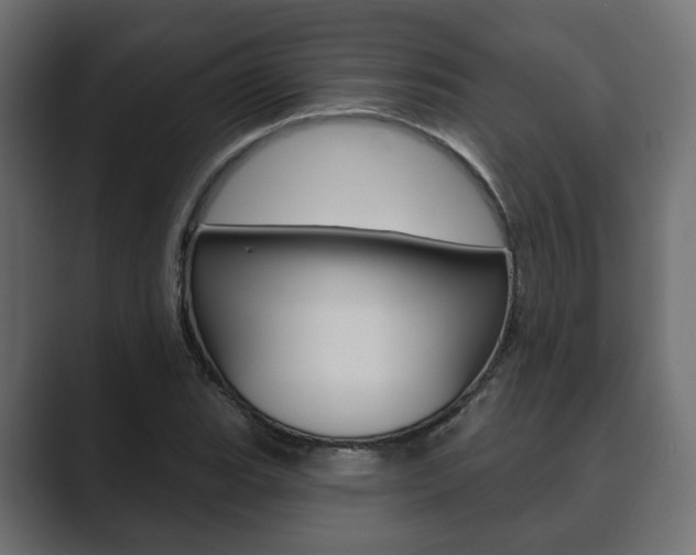 X0000089901119200706281130