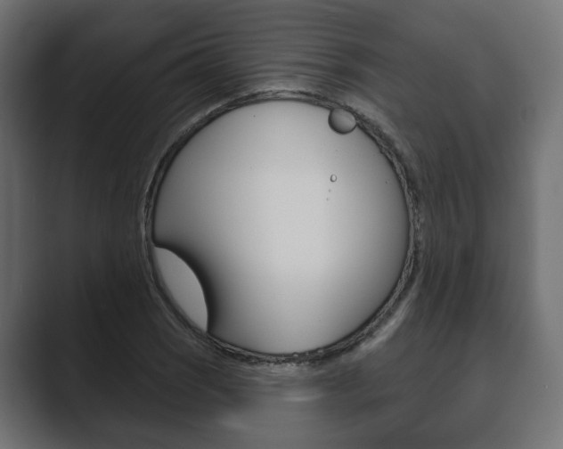 X0000089901121200706281130