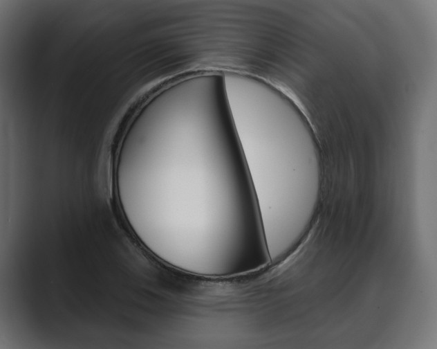 X0000089901123200706281130