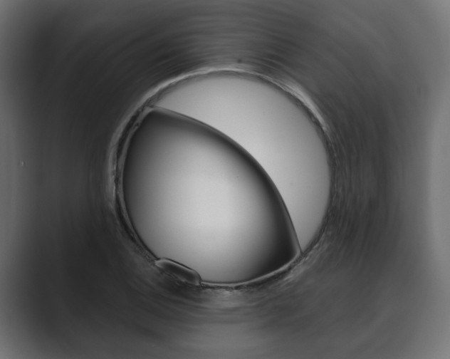 X0000089901124200706281130