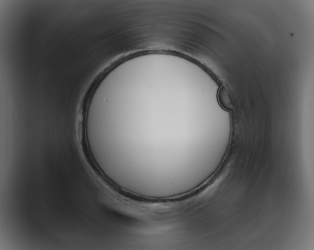 X0000089901126200706281130