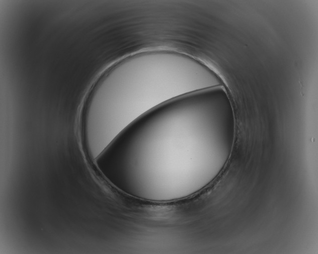 X0000089901127200706281130