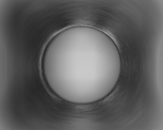 X0000089901128200706281130