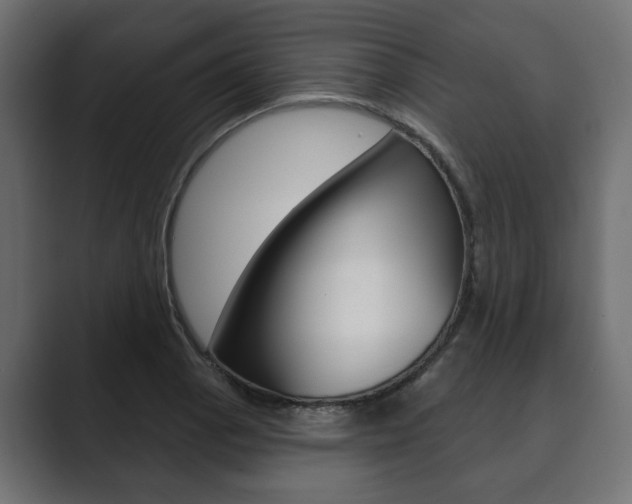 X0000089901129200706281130