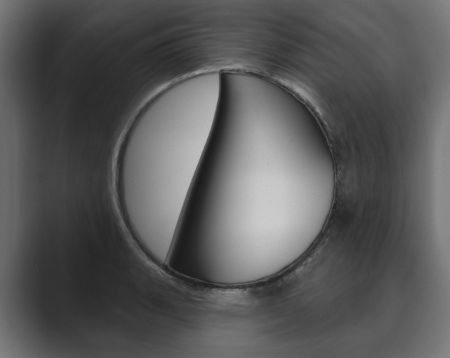 X0000089901135200706281130